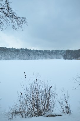 Het meer achter ons ergens tussen begin november en eind maart.